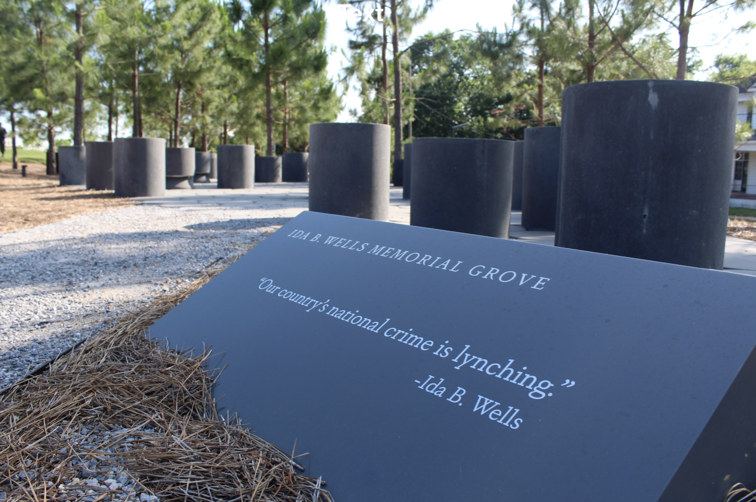 Ida B. Wells Memorial Grove